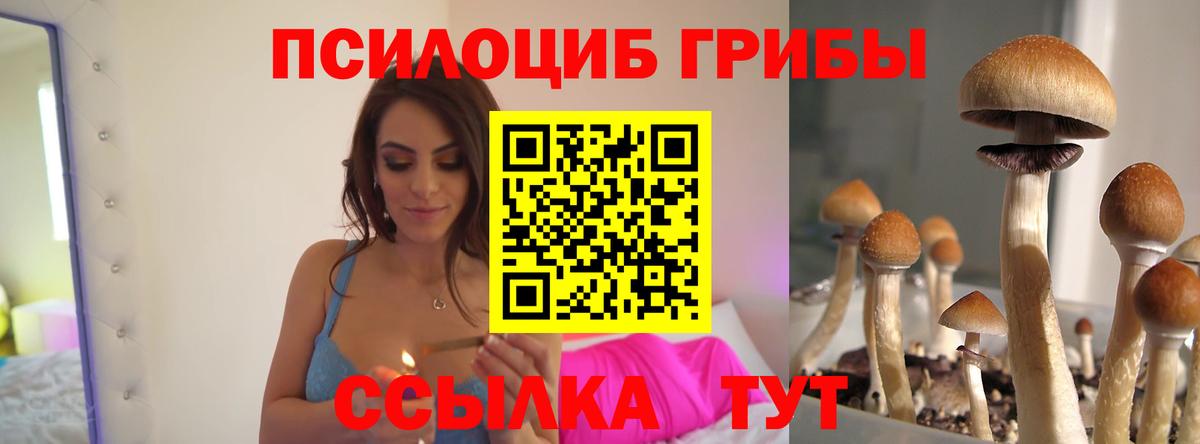 Зеленодольск  Галлюциногенные грибы мицелий  Вход с VPN 